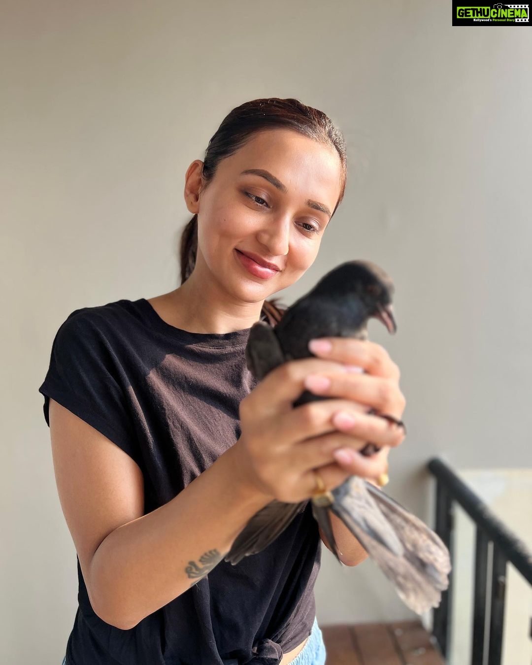 Mimi Chakraborty Instagram - My little Peace angels grew so big. Had saved her/his mom(not sure) during a storm since than they stay in our balcony. They are so familiar with my touch that nvr try to fly away from me.Although now i visit this place very less but whenever i do they welcome me with the same love nd warmth. FYI: (They are free birds not caged )
