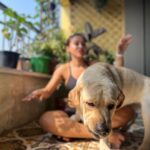 Mimi Chakraborty Instagram – 🏡 🐕