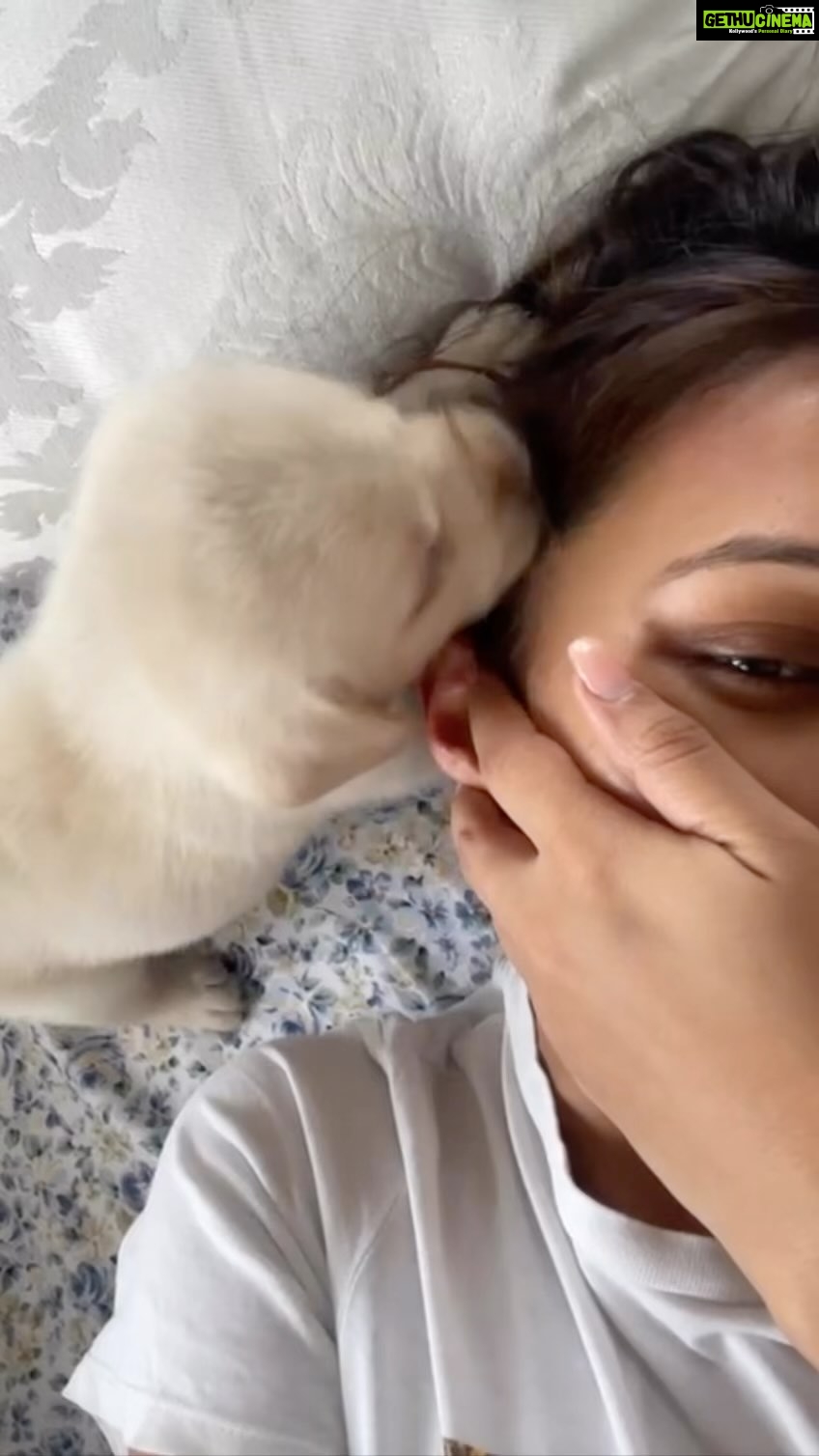 Mimi Chakraborty Instagram - My ♥️My 🌍 🧿🐕