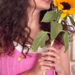 Mithila Palkar Instagram - Hi. My name is Sunflower and my profiles are…☺️🌻 #sunflowerslates #iykyk