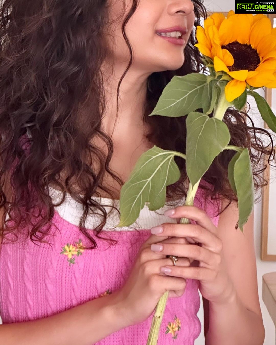Mithila Palkar Instagram - Hi. My name is Sunflower and my profiles are…☺️🌻 #sunflowerslates #iykyk