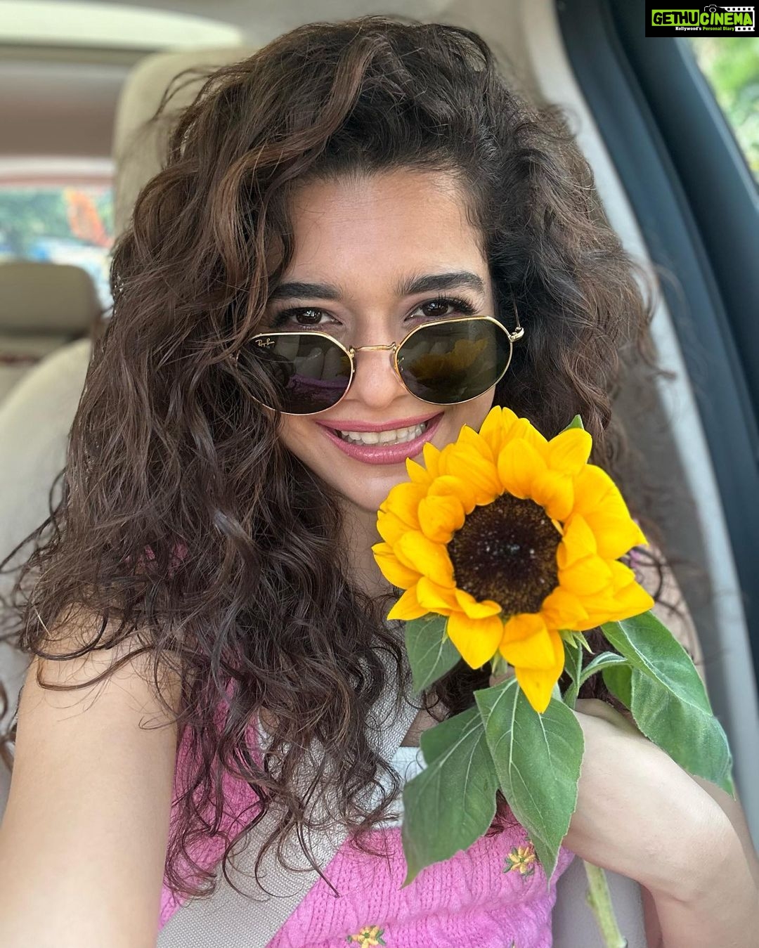 Mithila Palkar Instagram - Hi. My name is Sunflower and my profiles are…☺️🌻 #sunflowerslates #iykyk