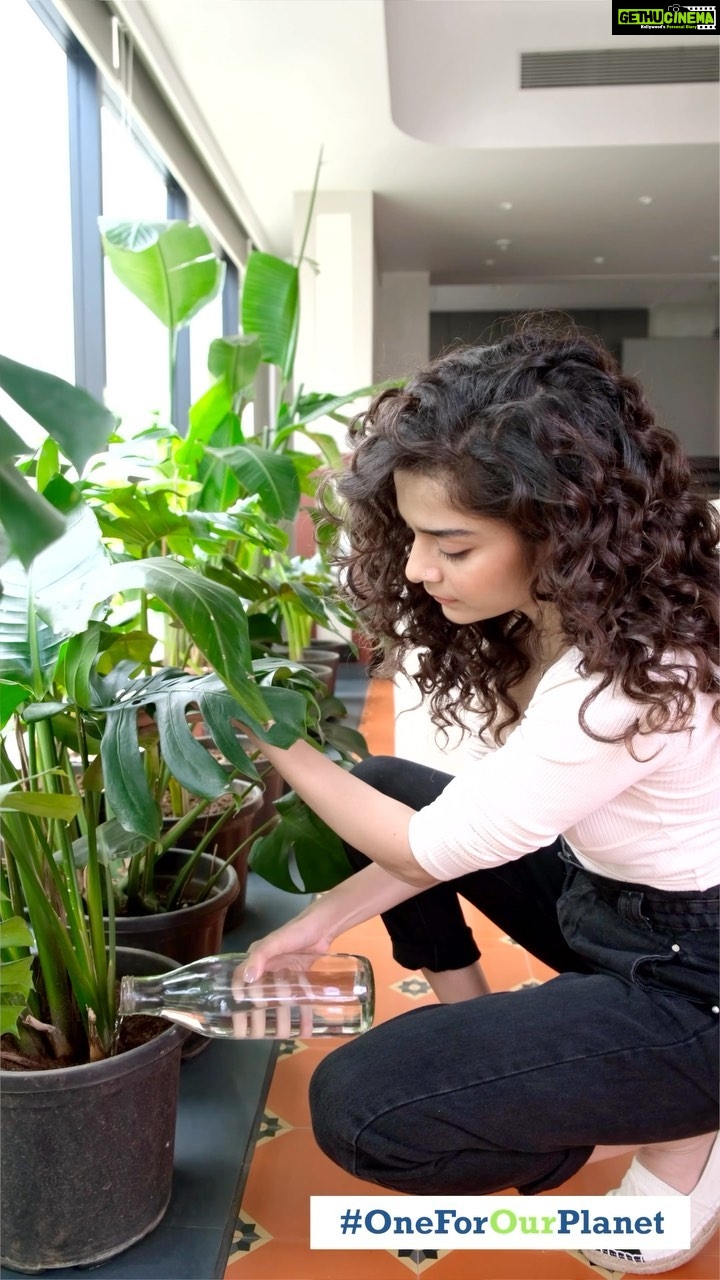 Mithila Palkar Instagram - As an individual, I believe that every small action counts in making a big difference towards a sustainable future. Join me in adopting proper waste disposal practices and supporting eco-friendly initiatives like Pernod Ricard India’s move to eliminate permanent mono cartons from their packaging. Together, we can make a significant impact towards creating a cleaner and healthier planet. Let’s pledge to become one for our planet. @pernodricardindia #OneForOurPlanet #ZeroWaste #ZeroWasteToLandfills #Sustainability #carbonfootprint #PernodRicardIndia #IndustryFirst #CircularEconomy #GreenerTomorrowToday #EnvironementFirst #PurposeDriven #OurPlanetOurResponse