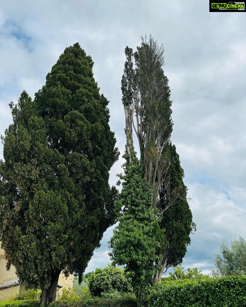 Mouni Roy Instagram - Dancing on the tree tops happy… Firenze, Italy