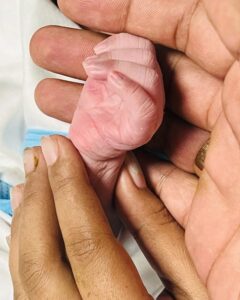 Mridula Vijay Instagram - God has blessed us with a lovely baby girl❤️ @yuvakrishna_official. Thank God and thanks a lot friends for your prayers and blessings 🥰