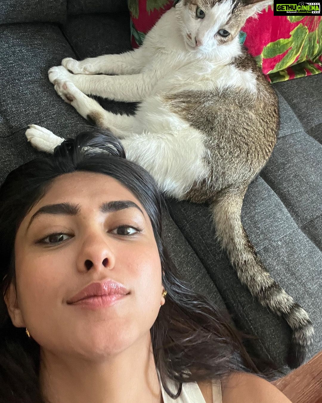 Mrunal Thakur Instagram - Tuesday vibes 💕ðŸ’