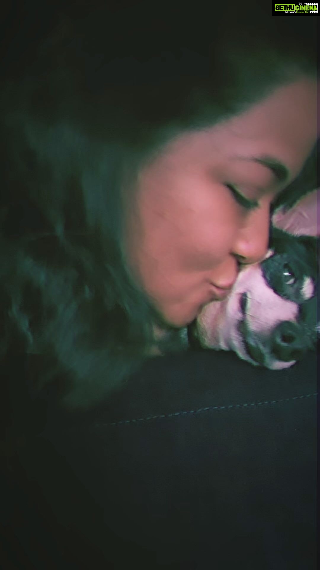Mumaith Khan Instagram - To be sure, the dog is loyal. But why, on that account, should we take him as an example? He is loyal to man, not to other dogs.-Karl Kraus😇 #loyaldog #dog #animal #happydog #doglife #pet #friendlydog #familypet #plainadorable #familyfriendly #cutenessoverload #thereapydog #obidientdog #servicedog #chillingdog #petlife #dogsofinstagram #doglover #staringotherway #dogs #energeticdog #affectionatedog #minipin #minipinscher #cutedog #standingtall #familydog #purebreed #cute 🥰💖🌸