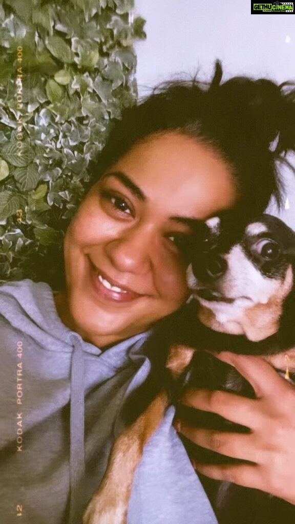 Mumaith Khan Instagram - A dog is the only thing on earth that loves you more than he loves himself.-Josh Billings😇 #doglovers #dogsofinstagram #dog #dogs #doglife #dogoftheday #dogstagram #puppy #doglover #instadog #puppylove #puppiesofinstagram #pet #love #pets #dogsofinsta #cute #instagram #petsofinstagram #doggo #doglove #puppies #dogphotography #of #petlovers #ilovemydog #dogslife #petstagram #puppylife #cutedogs 💖🌸🥰