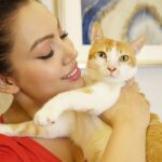 Munmun Dutta Instagram – My older baby Mau is 6 years today 😍❤️

Exactly 6 years ago on this day, while shooting in a different set that I found this little kitten wandering around without her mother and was constantly crying out due to hunger. 
  She kept on walking into the frame of the scene and we had to cut the shot few times. 
Post pack up , after I left the set, while waiting at the traffic light, something stirred in me and I decided to take a U turn and go back to find her. 
She was still loitering around searching for food and I decided to carry her home with me not knowing what to do with her. 
After a few days of adjustment there was no looking back. 
She is my heart, my love, my baby and the queen of our home and my life ❤️😍🥹🥹
.

It’s our Poila Boishakh today (bengali new year ) and I celebrate this day as her birthday 🎉 for walking into my life and changing it forever 🥹❤️

.
#adoptdontshop #munmundutta #mycatisawesome #mylove❤️
