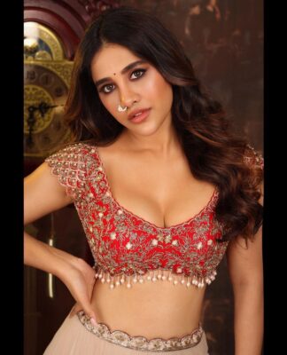 10 Nabha Natesh Instagram Photos That Got the Most Love