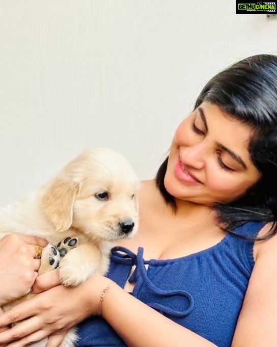 Naina Sarwar Instagram - Meet our newest family member🌈 👑 ŔÖĻËX👑