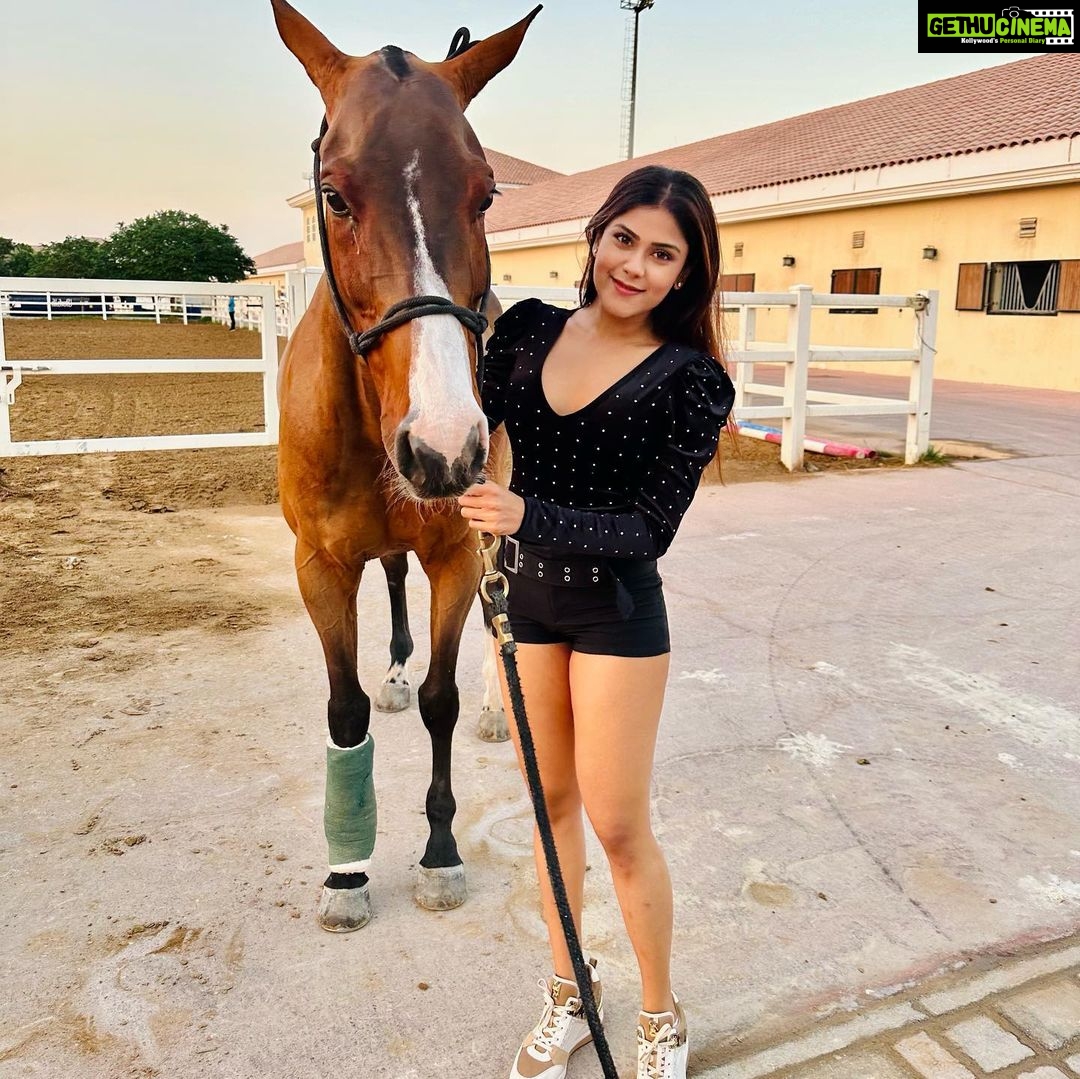 Naira Shah Instagram - Met these cuties and definitely felll in Love with them! Have always been mesmerised by Horses, look how Beautiful they are๐๐! (One was injured hence seems sad๐) #nairashah#dubai#poloclub#lovehorses#we#cuties Al Habtoor Polo Club