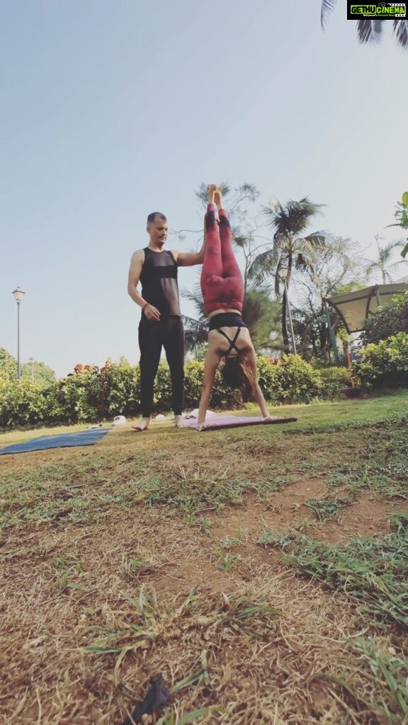 Naira Shah Instagram - Happy international yoga day to my insta family! Thank you @rohitflowyoga for making me a better practioner ! Still much more to get better! Yoga gives You confidence through self control and helps relax your mind! This all helps you to become a better you! Har Har Mahadev 🔱 #happyinternationalyogaday#yogini#omnamahshivaya