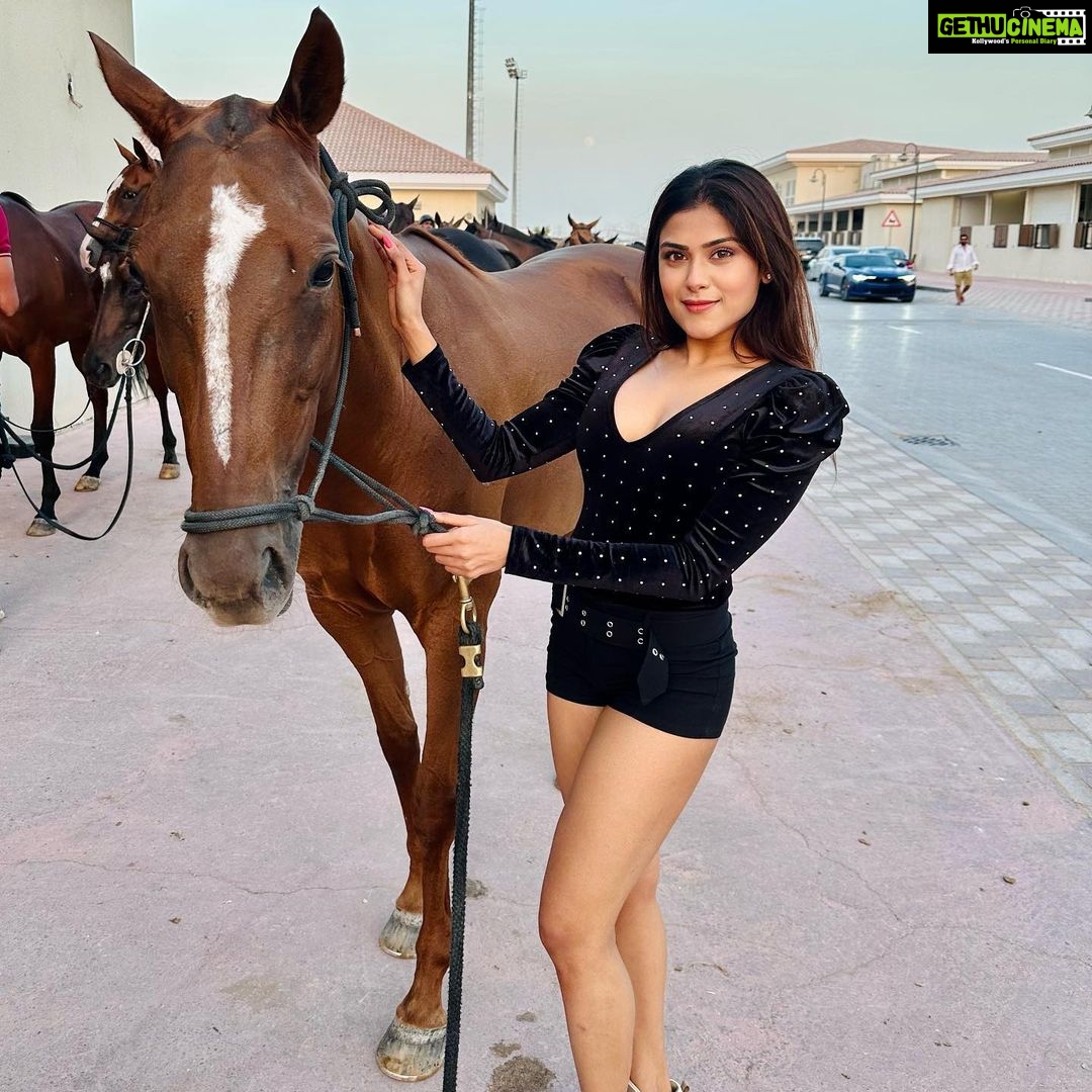 Naira Shah Instagram - Met these cuties and definitely felll in Love with them! Have always been mesmerised by Horses, look how Beautiful they are๐๐! (One was injured hence seems sad๐) #nairashah#dubai#poloclub#lovehorses#we#cuties Al Habtoor Polo Club