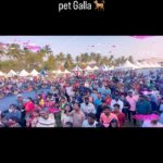 Namitha Instagram - I’m sooo touched with the response of my upcoming movie Bow wow ‘a lady with a dog ‘ teaser played only for the @felineclubofindia oraganised Petgalla in chennai . It’s an amazing feel to see all the pet lovers ,pet organisations & so many like minded people . #bow #wow #animals #love #puresouls #dogs #movies