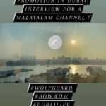 Namitha Instagram - Highlights from Dubai promotions #bowwow #animals #love #dubai #trending #namitha Dubai, United Arab Emirates