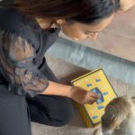 Nandita Swetha Instagram - Hey guys Recieved an other box of for my puppy from @goofytailsindia They have launched new range of 3 dental treats with goat milk , blue treat dispenser bone and bone broth. My puppy @withlovekushi loves everybit of it. Try it for your pets . . #goofytailsindia #goofy #dentaltreat #bonebroth #treardispenser Bangalore, India