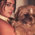 Nandita Swetha Instagram – World 🐶🐶🐶
📸📸📸 @antonyfernandophotography 
@withlovekushi 
.
#shitzu #pet #love #kushi Bangalore, India