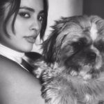 Nandita Swetha Instagram - World 🐶🐶🐶 📸📸📸 @antonyfernandophotography @withlovekushi . #shitzu #pet #love #kushi Bangalore, India