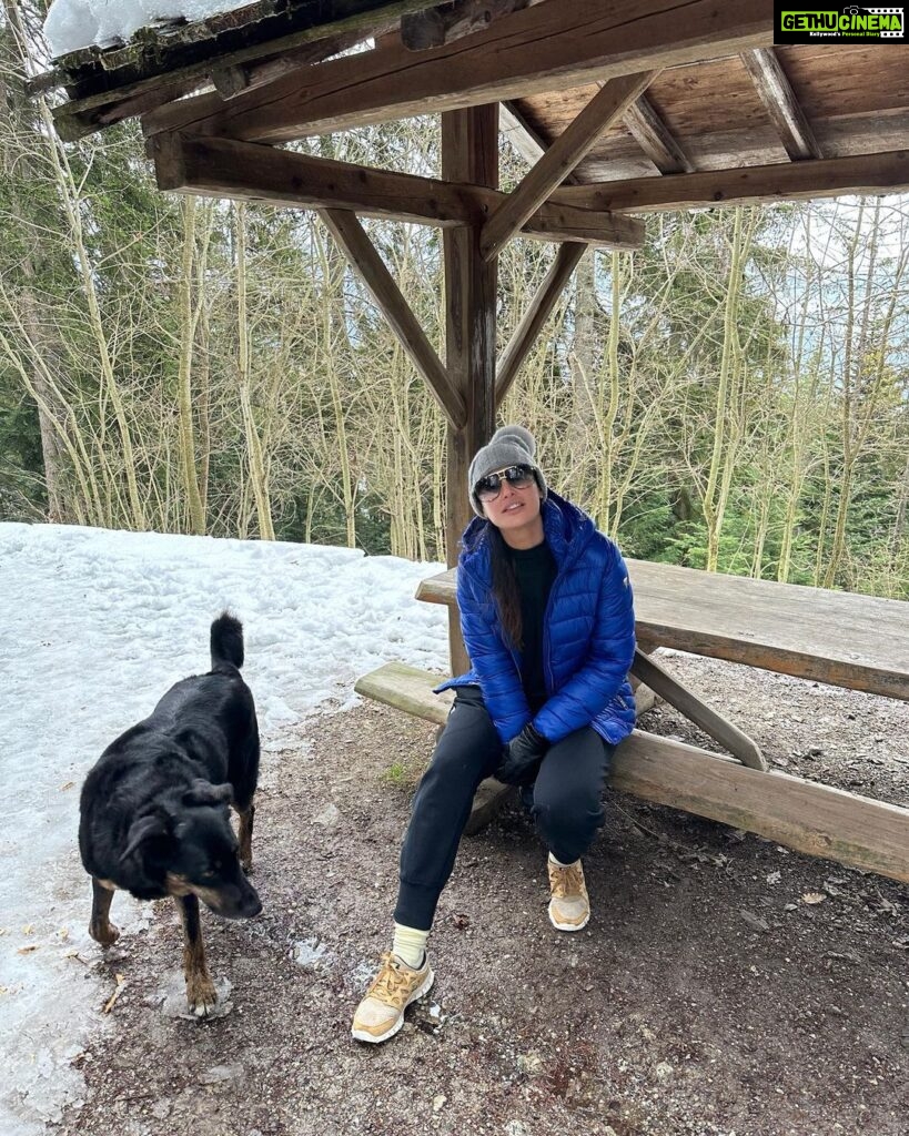 Nargis Fakhir Instagram - Wanted to see snow. So I went to see snow. ❄️ @lecrans . . . . . . . #travel #snow #luxury #cozy #spa Switzerland