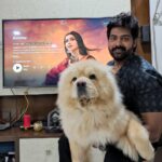 Naveen Chandra Instagram - Finally the wait is over! 🤩🤩 Watch #AmmuOnPrime only on @PrimeVideoIN @ksubbaraj @StoneBenchers #KalyanSubramaniam @kalyanshankar @Kaarthekeyens @charukeshsekar @aishu__ @actorsimha