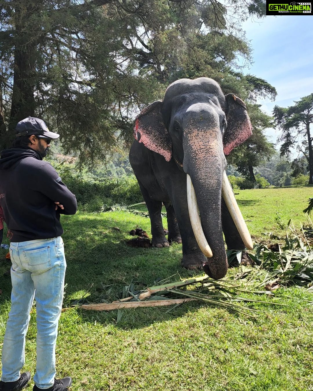 Naveen Chandra Instagram - Hello Big man . Thank you for your love ❤️ #winter ❤️