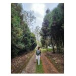 Naveen Chandra Instagram – Eco fresh !!!
#hillstation
