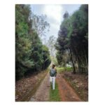 Naveen Chandra Instagram - Eco fresh !!! #hillstation