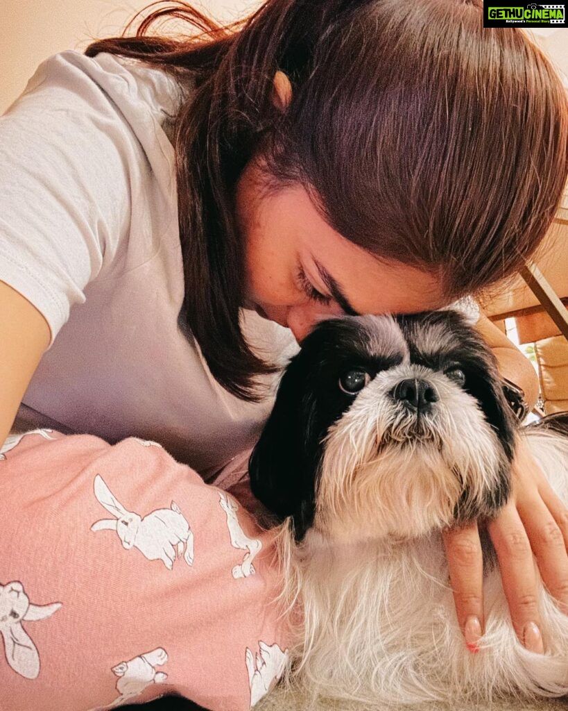 Nazriya Nazim Instagram - Happy birthday to my little heartbeat …. All of 8 ….🤍 In the last eight years ….my heart has been happier .. you are pure love n I got lucky u chose us ! Ur our sunshine U have made our home a happier place … Ur such a good boy …my ANGEL BOY ! 🐶 Till the last breath leaves my body or yours and beyond ! I promise ! Happy birthday my lil Oreo ! Ur my whole heart ! ♥