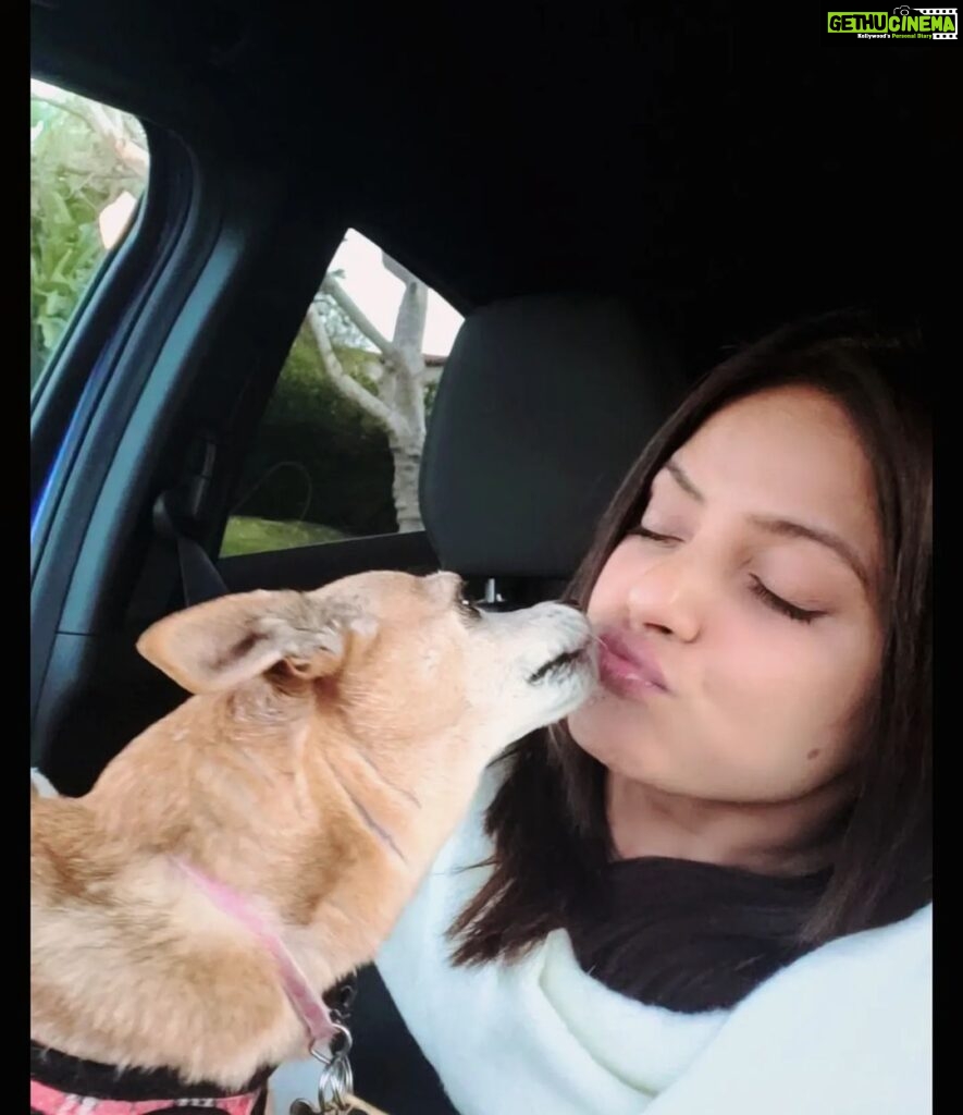Neetu Chandra Instagram - Love you, #Penny and the mother @directormadison ❤️ #doglover Good morning, my #instafam 😘