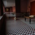 Neha Sharma Instagram - A pet friendly property is whole different feel… 🐶🐾 Narender Bhavan, Bikaner