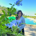 Neha Sharma Instagram - 🐚☀️🌊🦋💫☘️ The St. Regis Goa Resort