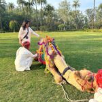 Neha Sharma Instagram – 🐪😂💫💕 Thankful for the time we have had at @amanbagh 

#amanbagh #TheSpiritOfAman #AmanWellness #AmanFoodie #amanadventure #camelride #incredibleindia #rajasthan #aman @aishasharma25