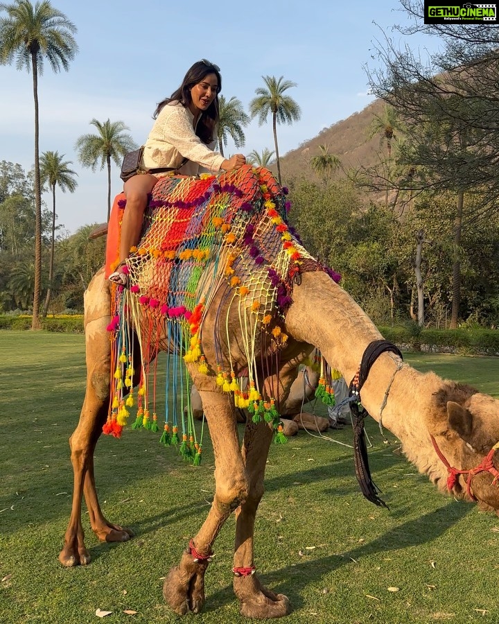 Neha Sharma Instagram - 🐪😂💫💕 Thankful for the time we have had at @amanbagh #amanbagh #TheSpiritOfAman #AmanWellness #AmanFoodie #amanadventure #camelride #incredibleindia #rajasthan #aman @aishasharma25