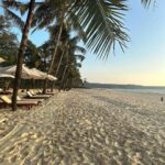 Neha Sharma Instagram - ☀️🌊🐚👙 #goa #incredibleindia The St. Regis Goa Resort