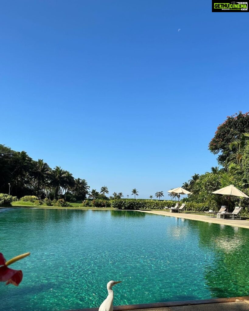 Neha Sharma Instagram - 🐚☀️🌊🦋💫☘️ The St. Regis Goa Resort