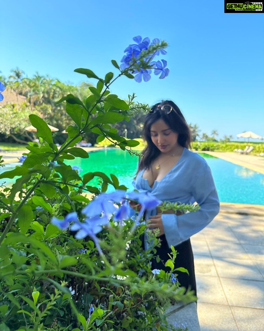 Neha Sharma Instagram - 🐚☀️🌊🦋💫☘️ The St. Regis Goa Resort