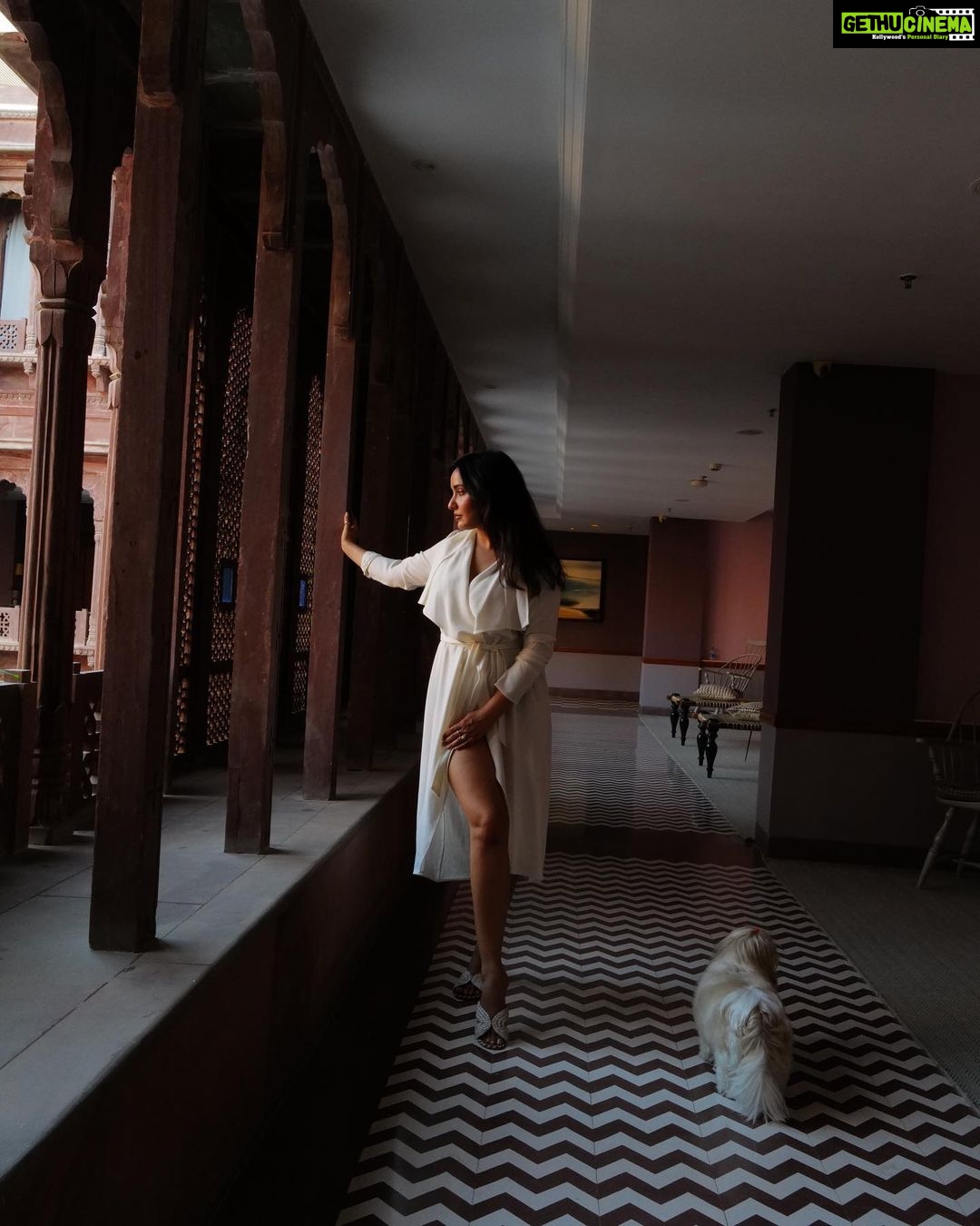 Neha Sharma Instagram - A pet friendly property is whole different feel… 🐶🐾 Narender Bhavan, Bikaner