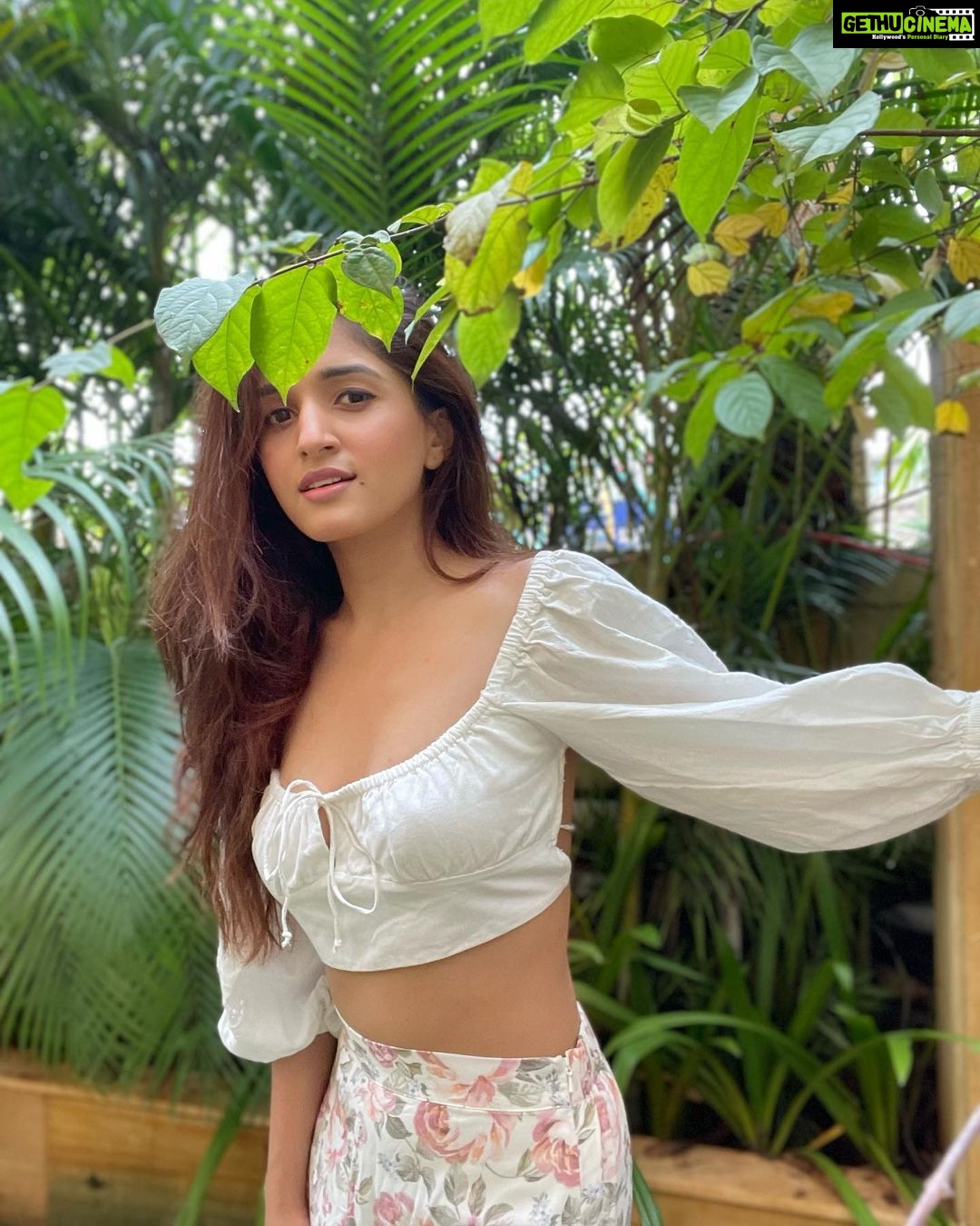 Nidhi Shah Instagram - The last few weeks πππΏππ·π€