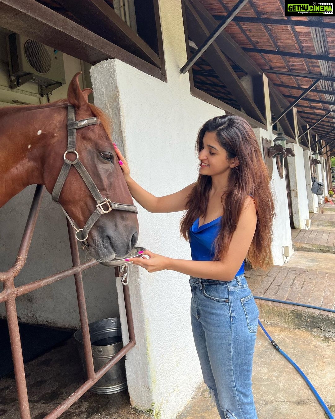 Nidhi Shah Instagram - The last few weeks πππΏππ·π€