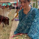 Nidhi Shah Instagram - A day in Ujjain 💕