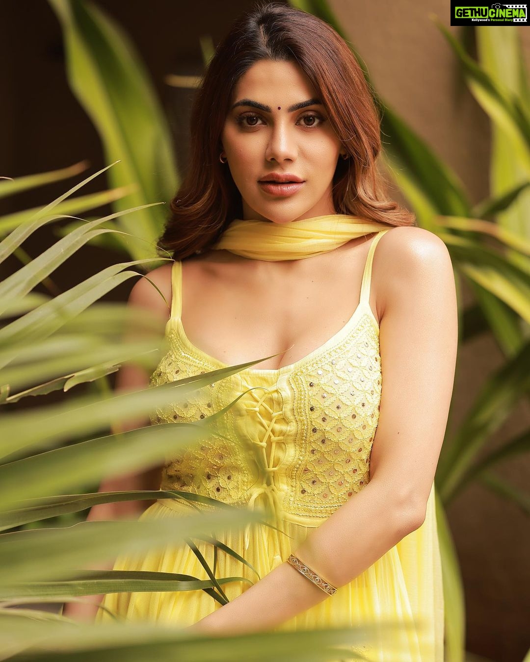 Nikki Tamboli Instagram - 🧁 . . . . . . . . . . . . . . #nikkitamboli #yellow #indian #love #happiness
