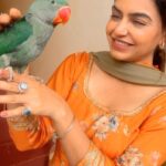 Nisha Bano Instagram - 🦜❤️ #nishabano #instareels #trendingreels #video