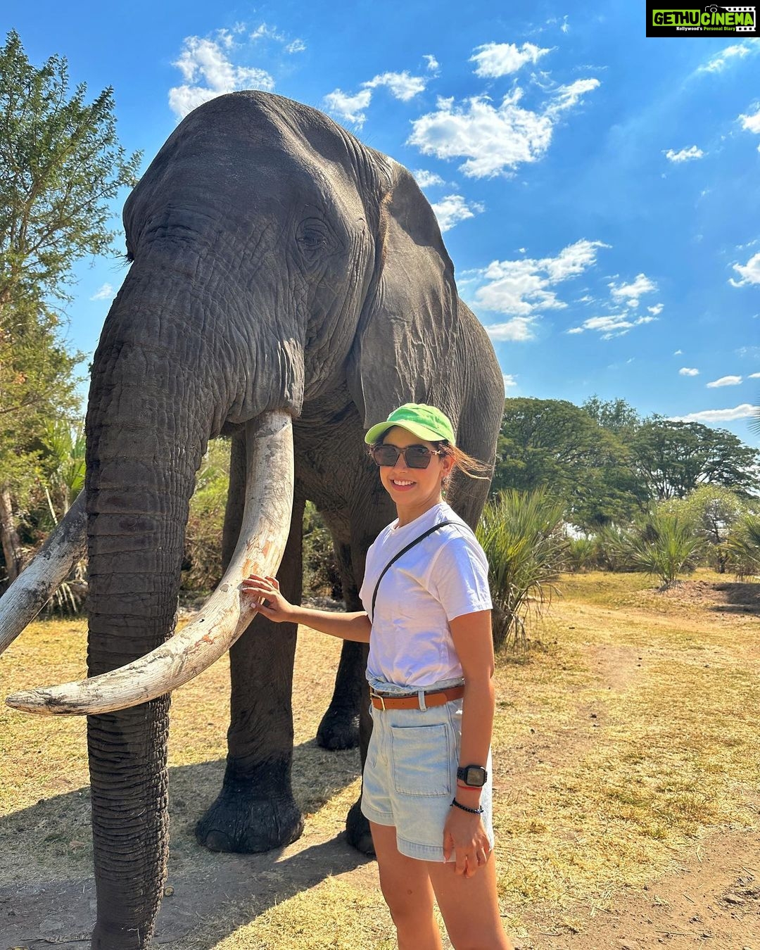 Niti Taylor Instagram - Have an Elephantastic day!🐘🤍 #intothewild #elephants #africa #bestmoment