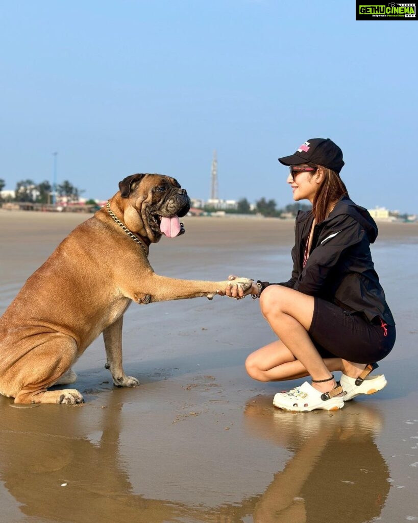 Nusrat Jahan Instagram - I share my secrets with him.. Best part, he nvr spills 😁 #mybaby #dogsofinstagram #dogmom #purelove #happy