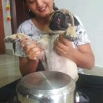 Pallavi Ramisetty Instagram - I waited to do this with my rowdy fellow 🐶 and succeeded #mycutiepie #Buddy #pugfellow #momandme #reelsoninstagram #pallaviramisettyofficial