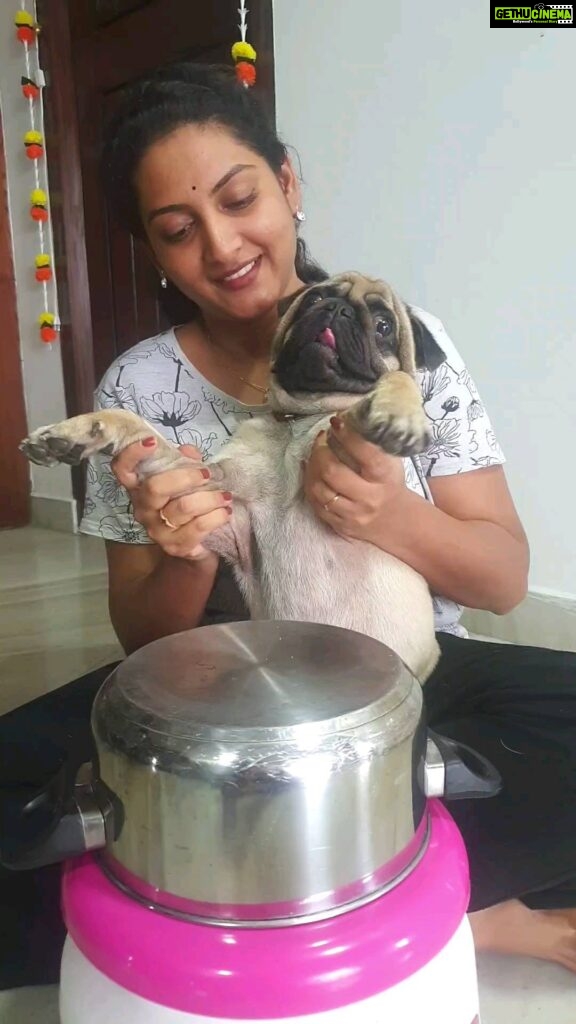 Pallavi Ramisetty Instagram - I waited to do this with my rowdy fellow 🐶 and succeeded #mycutiepie #Buddy #pugfellow #momandme #reelsoninstagram #pallaviramisettyofficial
