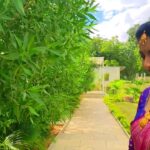 Pallavi Ramisetty Instagram - 💜 Video credits @itz.me_siddhu #attarintikidaredi #krishnaveni #shoottime #funcionscens #love #instagood #instagramreel