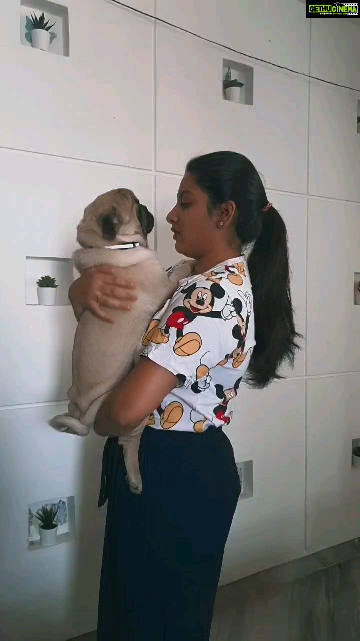 Pallavi Ramisetty Instagram - Because It's Trending 🐶 #reels #buddyandmommy #trendingnow #timepass #😍 # mybuddygadu #pallaviramisettyofficial