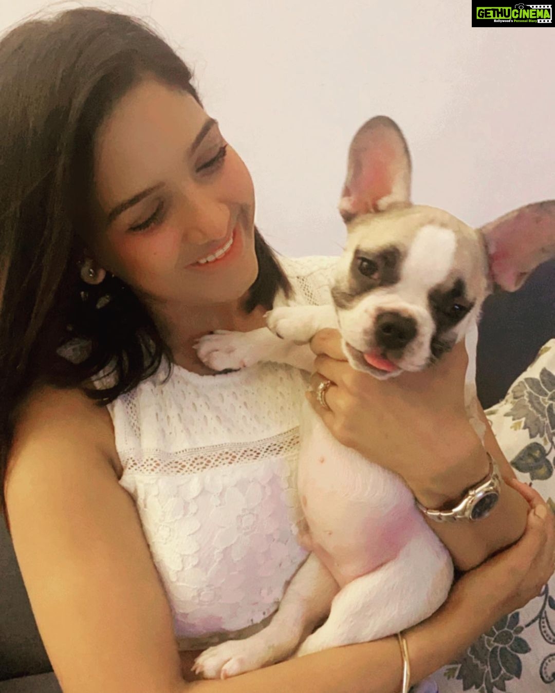 Pavani Reddy Instagram - Meet noddy @rasika_kalyanikar @sandeep_deep